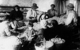 Orsago-storia banca della marca