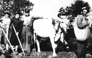 Orsago-Storia Banca della Marca