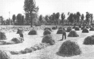 Orsago-Storia Banca della Marca