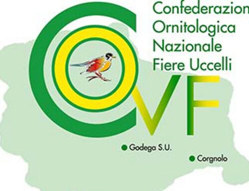 Associazione ornitologica godeghese