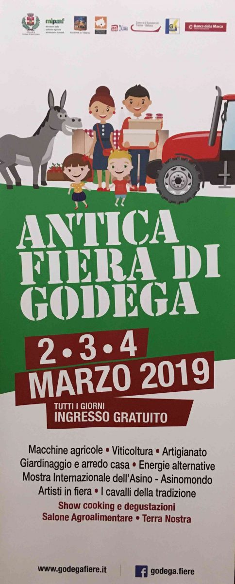 Godega-Antica Fiera Godega-2019