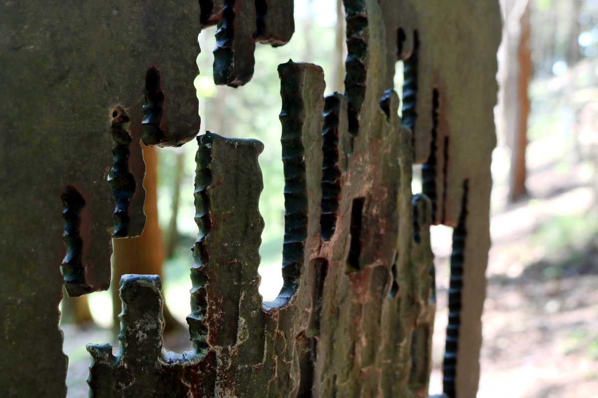 Cison di Valmarino-Storia Bosco Penne Mozze