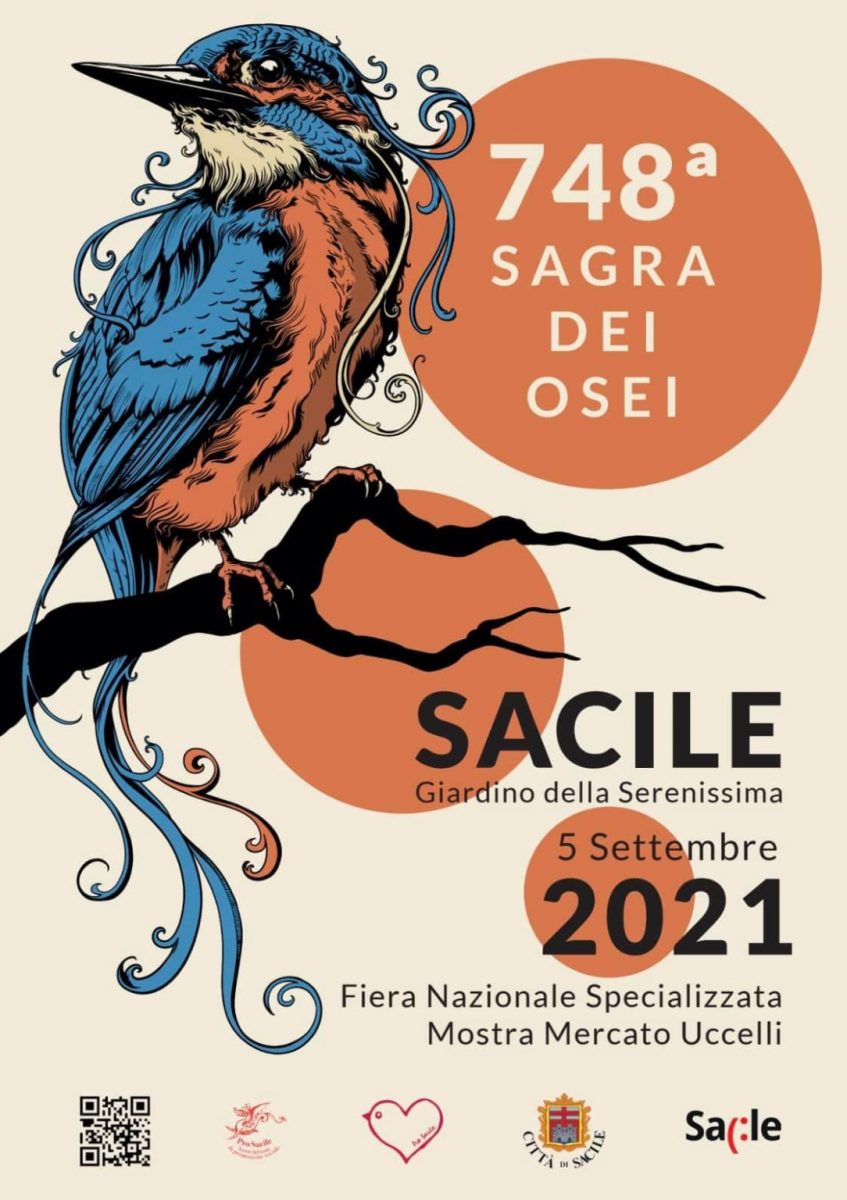 Sacile-748 Sagra degli Osei