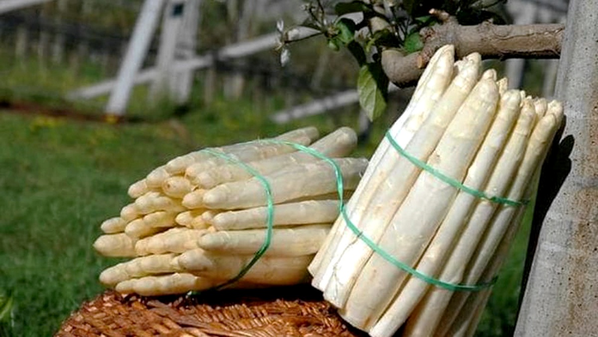 Tutela-dei-prodotti-a-Denominazioni-di-Origine-nelle-Venezie